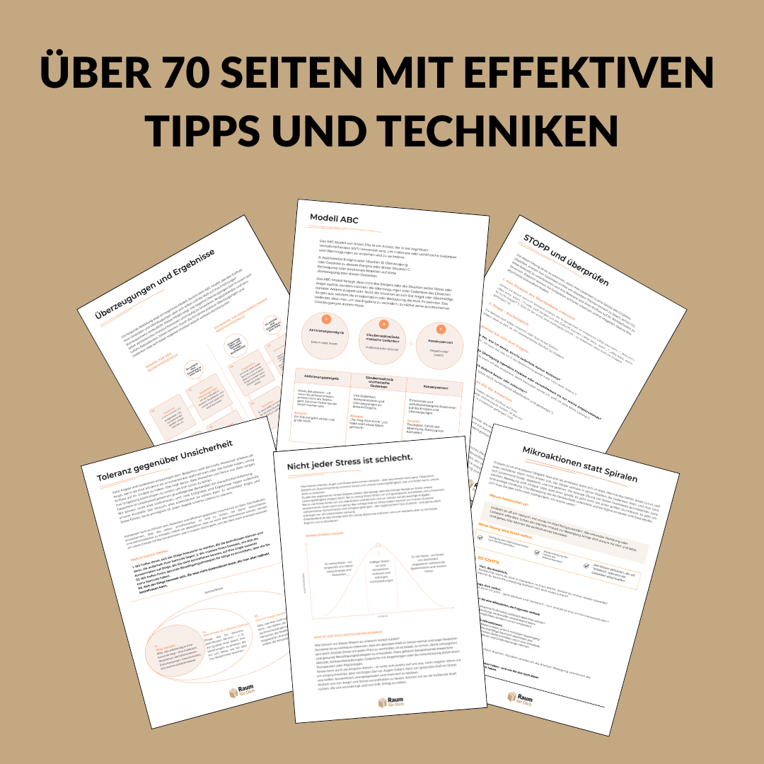 Stoppe die Gedankenspirale und finde deinen inneren Frieden zurück. Ein Workbook für Menschen, die zu viel grübeln.